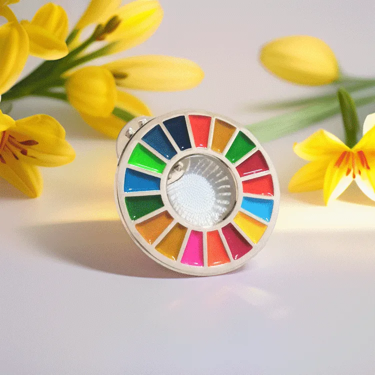 Custom SDG sustainable development goals awareness pin metal enamel
